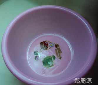 創新設計，源頭直供 探索2元新款塑料盆在家用與批發市場的無限潛力